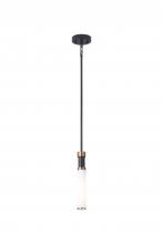 Lit Up Lighting LIT6830BK+GD-OP - 13" High 1 Light Single pendant light With 1x25 W E26 medium base frame in Black finish